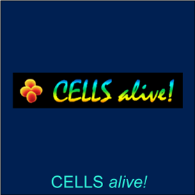 CELLS alive!