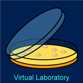 Virtual Lab